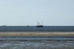 Westerhever Aug 4