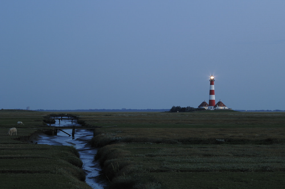 Westerhever Aug 11