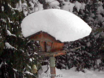 Vogelhäuschen mit Neuschnee