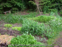 Gemüsegarten mit Bohnenzelt