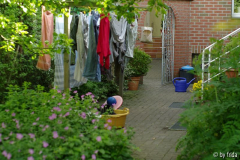 Garten5.jpg