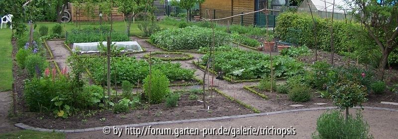 Gemüsegarten2010_02