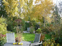 Gartenblick 2010 Ende Oktober