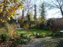 Gartenblick1 14.11.2010