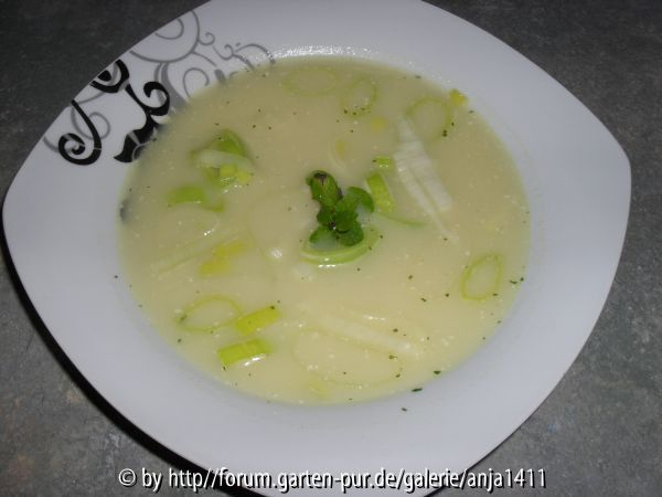 Vorsuppe