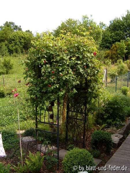 Habitus Erinnerung an Brod