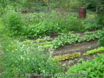 Gemüsegarten im Mai 2011