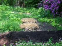 Gemüsegarten im Umbruch