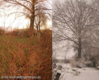 garten im winter - höher oben