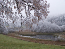 Warten auf den Winter